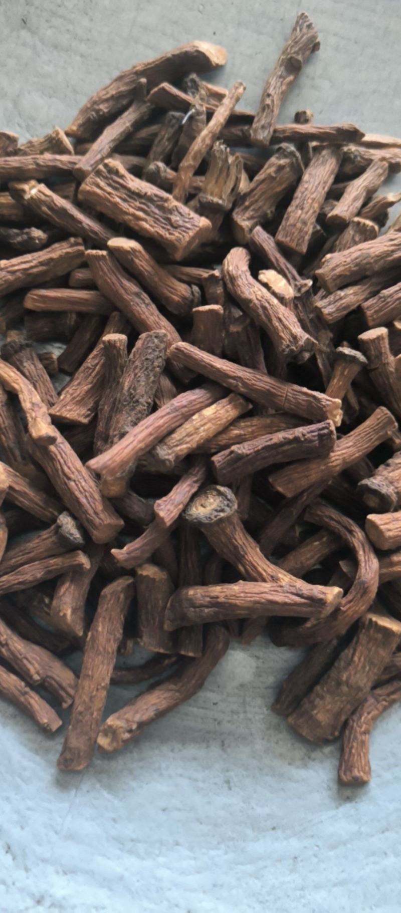 蒲公英蒲公英根茶用药用批发蒲公英根质量保证量大从优