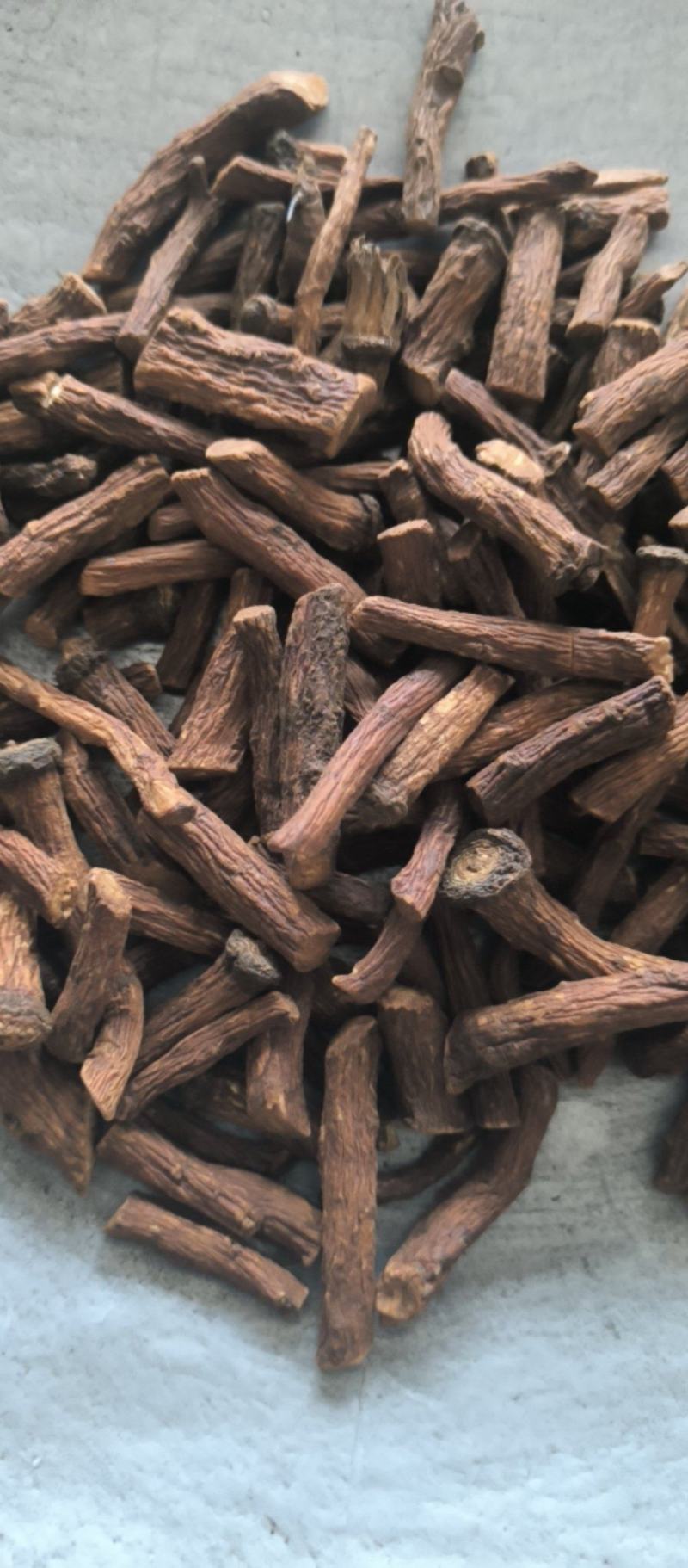 蒲公英蒲公英根茶用药用批发蒲公英根质量保证量大从优