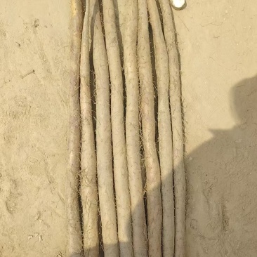 白玉咕噜