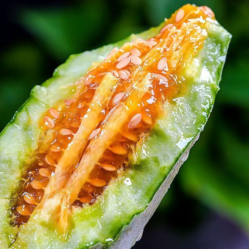 山东寿光头茬羊角蜜甜瓜脆甜产地一件代发直供批发