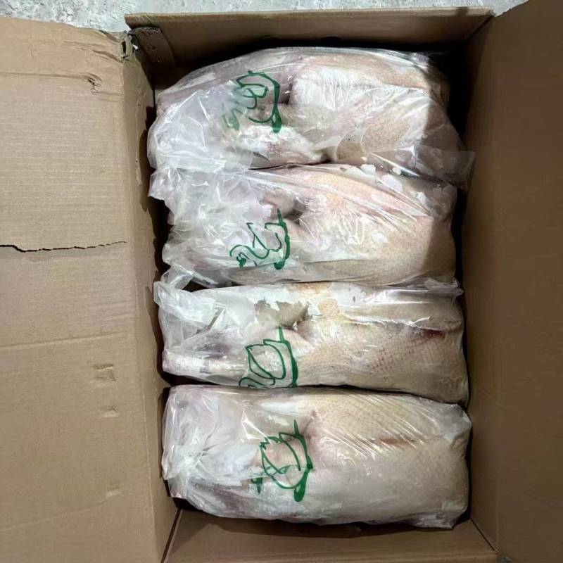 破皮朗德鹅质量很好手续齐全20吨