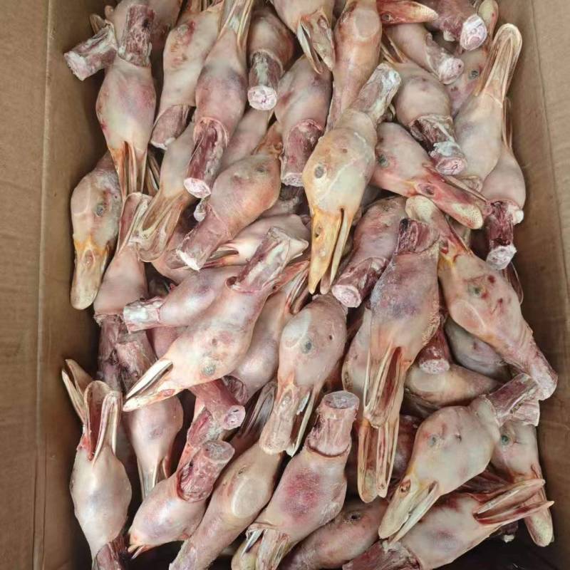 鸭头两万