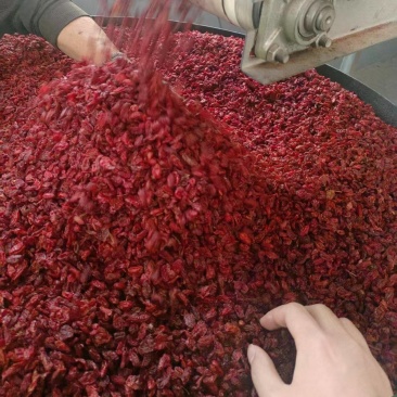 河南伏牛山山茱萸头茬新货手工去核药食同源滋补