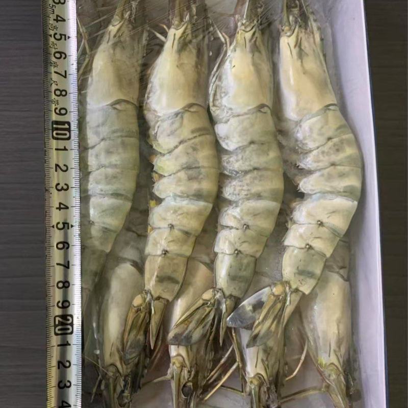 黑虎虾