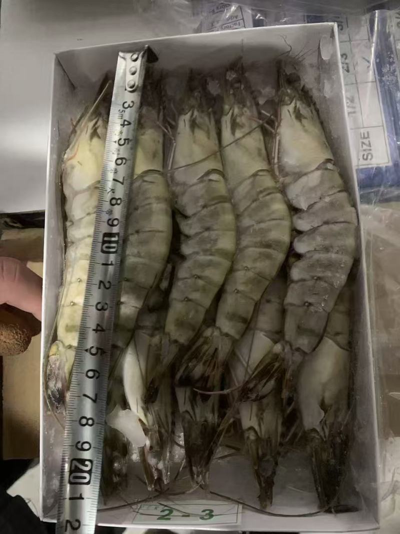 黑虎虾
