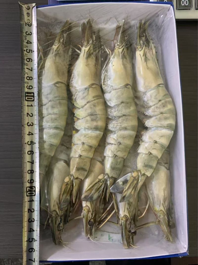 黑虎虾