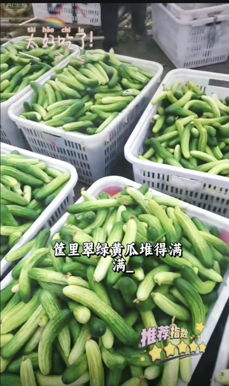 自家基地直产黄瓜！货源充足，价格实惠，品质保证！