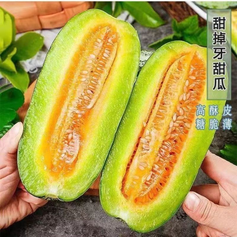 山东寿光博洋9自然熟现摘清甜一件代发鲜果货源批发
