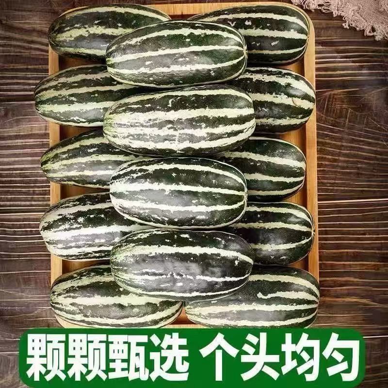 山东寿光博洋9自然熟现摘清甜一件代发鲜果货源批发