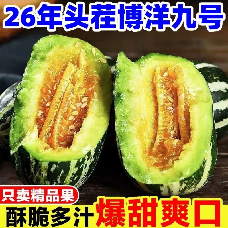 山东寿光博洋9自然熟现摘清甜一件代发鲜果货源批发