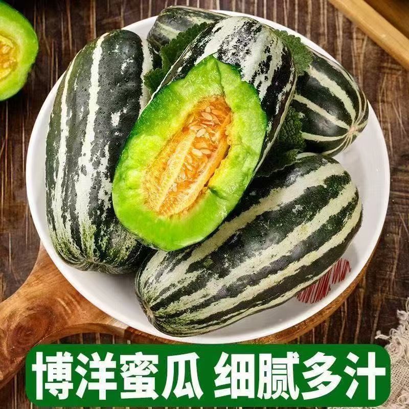 山东寿光博洋9自然熟现摘清甜一件代发鲜果货源批发