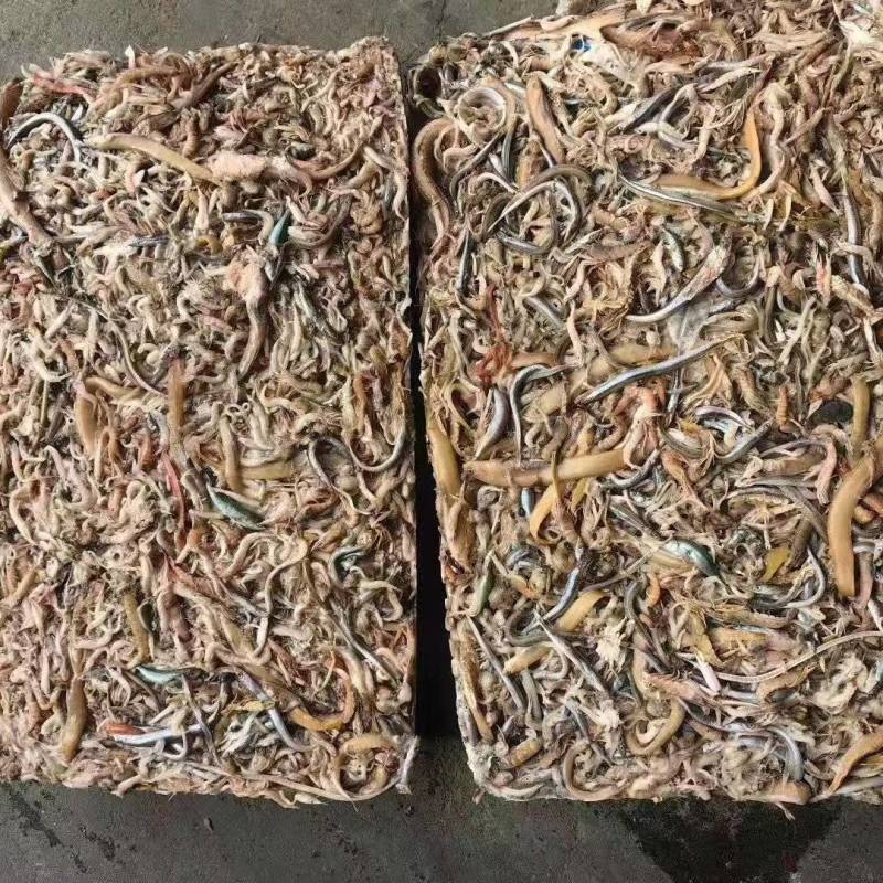比鱼粉便宜的饲料鱼，欲购从速。3200