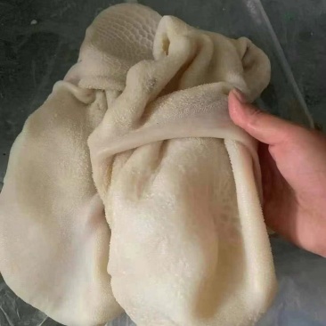 熟羊肚