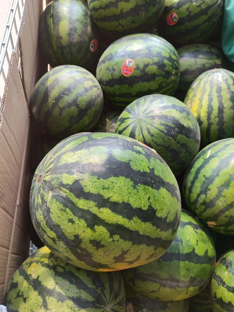 陕西甜王现货大量有货一手货源产地直品质保证