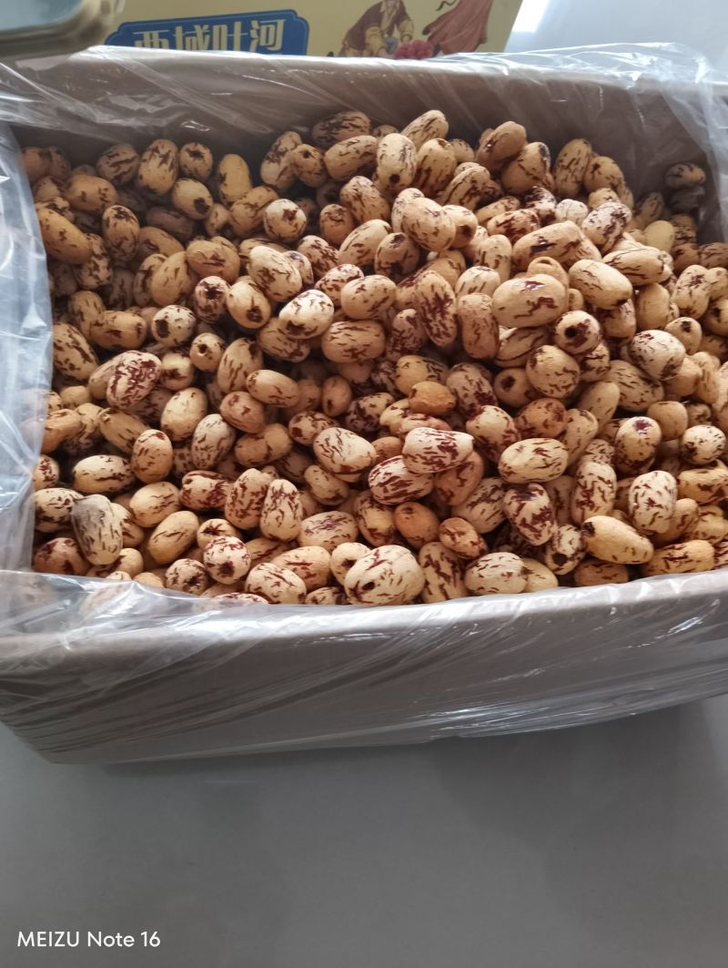 红枣