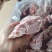 猪颈骨