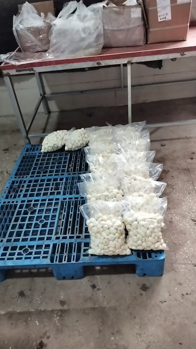 去皮小芋头大量供应品质优可视频看货欢迎咨询来电咨询