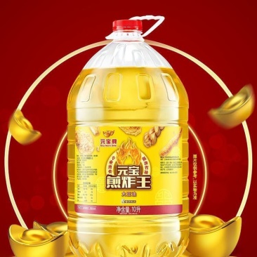 元宝煎炸王大豆油