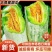 山东羊角蜜甜瓜，一件代发，对接全网电商，社区团购