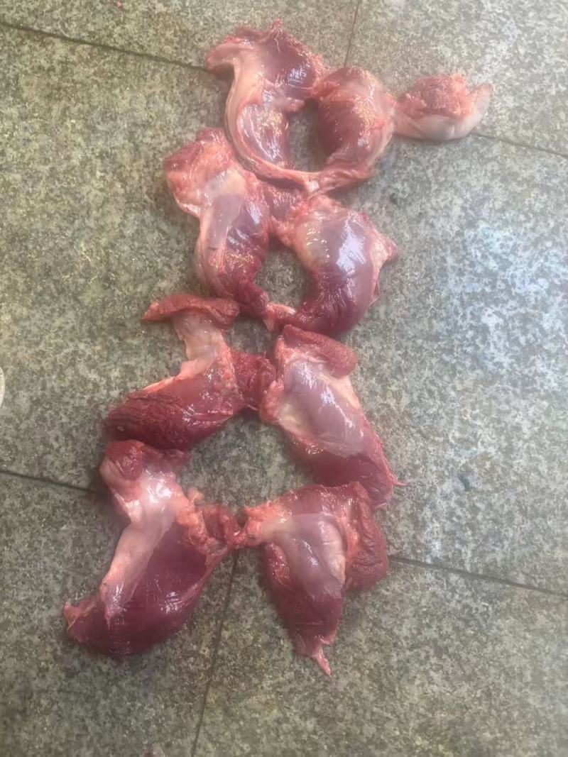 自家的宰房源头厂家20几吨猪护心肉肉芯，罗格肉肉芯