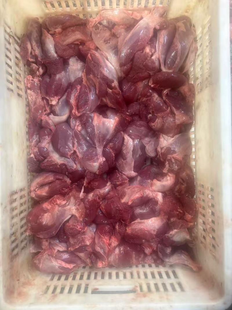 自家的宰房源头厂家20几吨猪护心肉肉芯，罗格肉肉芯