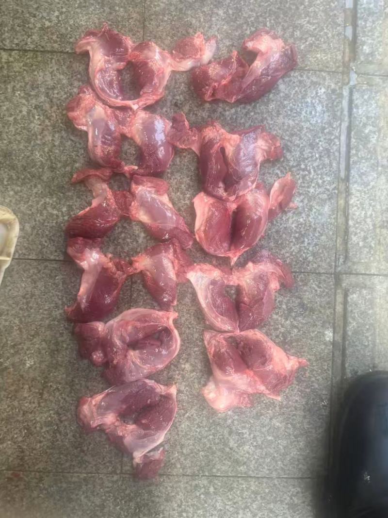 自家的宰房源头厂家20几吨猪护心肉肉芯，罗格肉肉芯