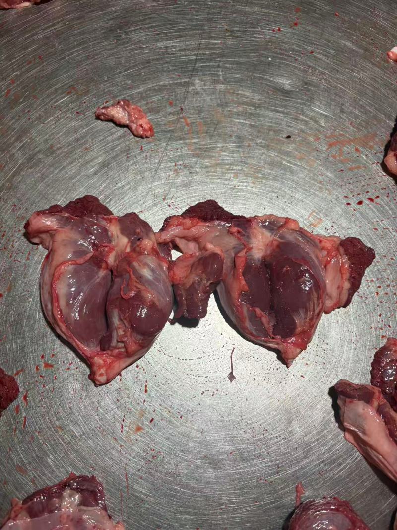 自家的宰房源头厂家20几吨猪护心肉肉芯，罗格肉肉芯