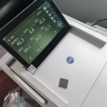 精品粮高出油率油菜籽
