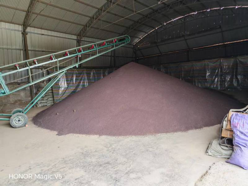 精品粮高出油率油菜籽