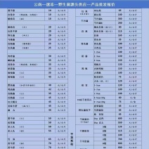 云南野生菌冻货鲜货干货批发零售