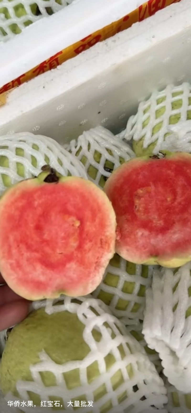 红宝石芭乐