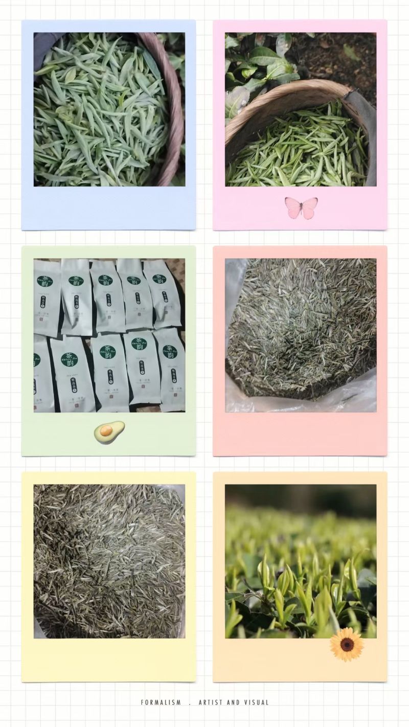 茶叶