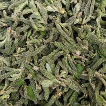 构棒棒，洋槐花，榆钱产地加冰直发量大从优