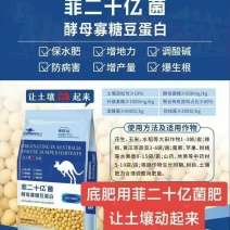 菲二十亿大豆菌肥，80%有机质，矿源黄腐酸钾，调理土壤
