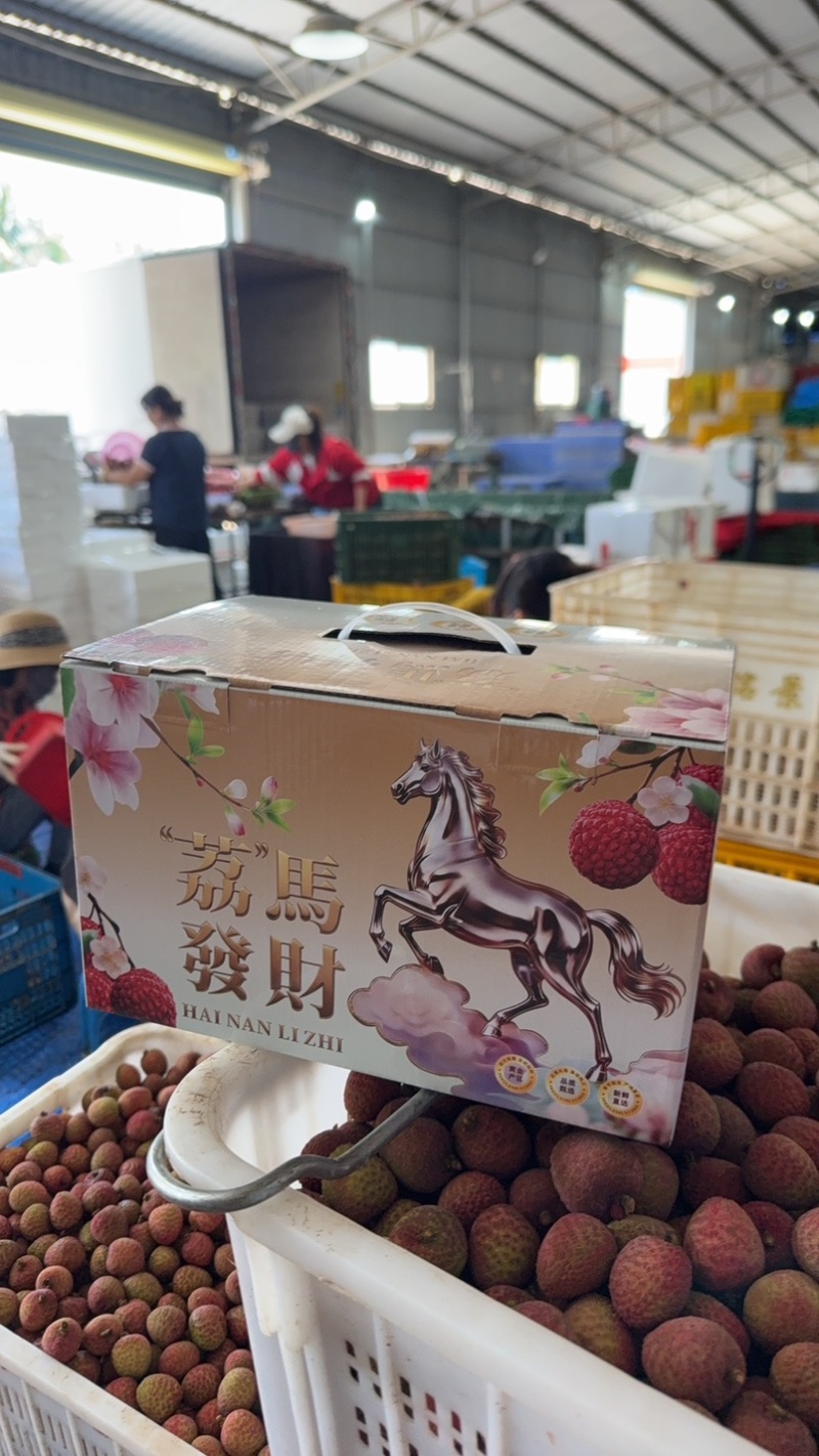 陵水桂花香荔枝即将上市支持各大平台代发团购整车