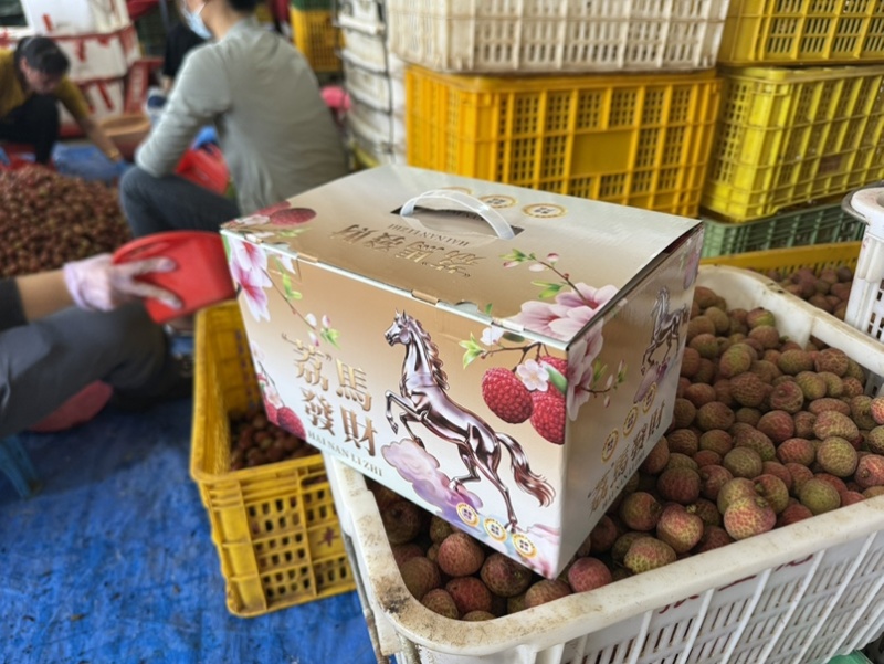 陵水桂花香荔枝即将上市支持各大平台代发团购整车