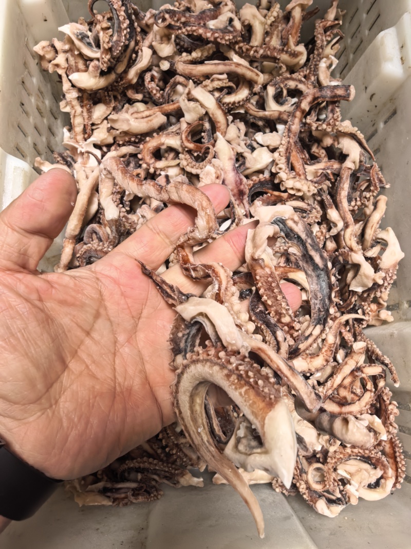 500/1000脆口须，口感Q弹有嚼劲，物美价廉
