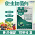 高含量微生物菌剂复合菌种改良土壤壮苗农用肥料