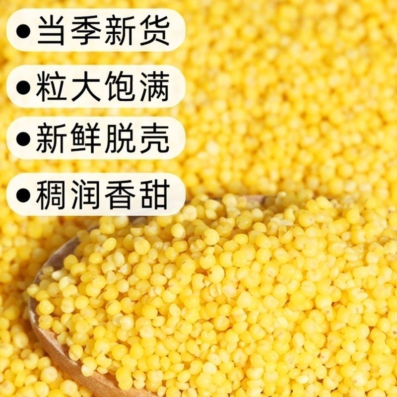 【精选】山西富硒黄小米营养价值高产地直发一手货源
