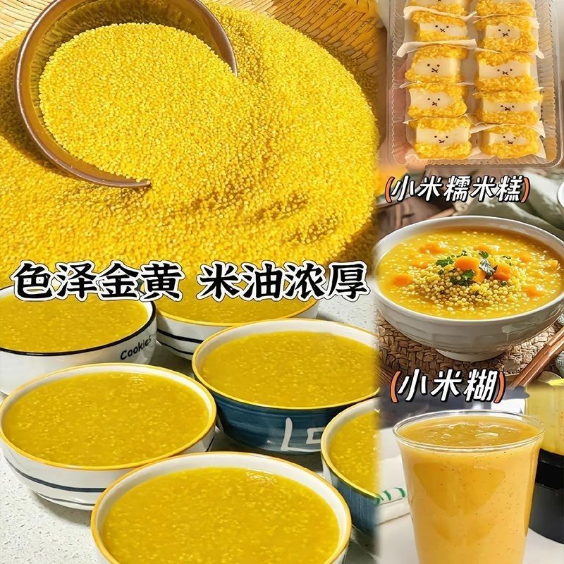 【精选】山西富硒黄小米营养价值高产地直发一手货源