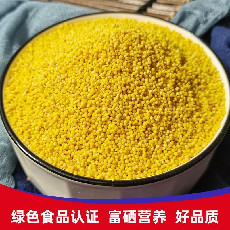 【精选】山西富硒黄小米营养价值高产地直发一手货源