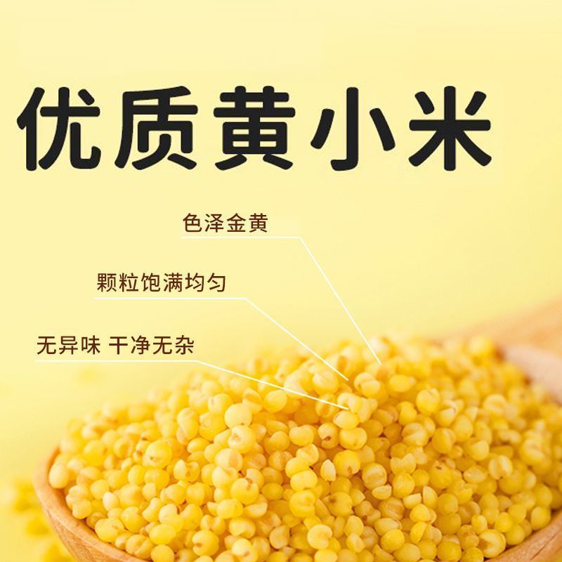 【精选】山西富硒黄小米营养价值高产地直发一手货源