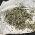 洋葱头。紫阳二红洋葱苗