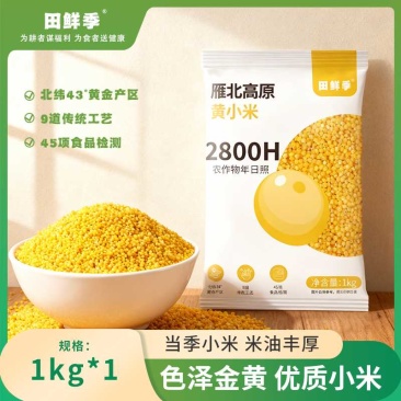 米脂黄小米三层米油棉绸油厚