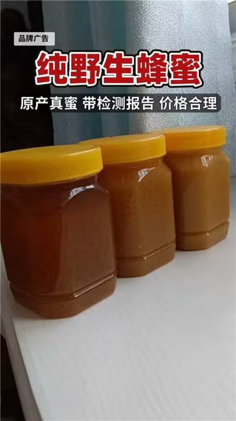 湘西野生蜂蜜纯野生蜂蜜有检测报告价格合理低价处理