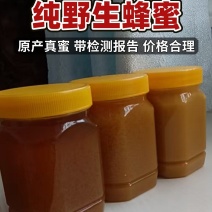 湘西野生蜂蜜纯野生蜂蜜有检测报告价格合理低价处理