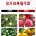 奥丰流体硼小分子硼肥促花促果液体硼肥微量元素水溶肥
