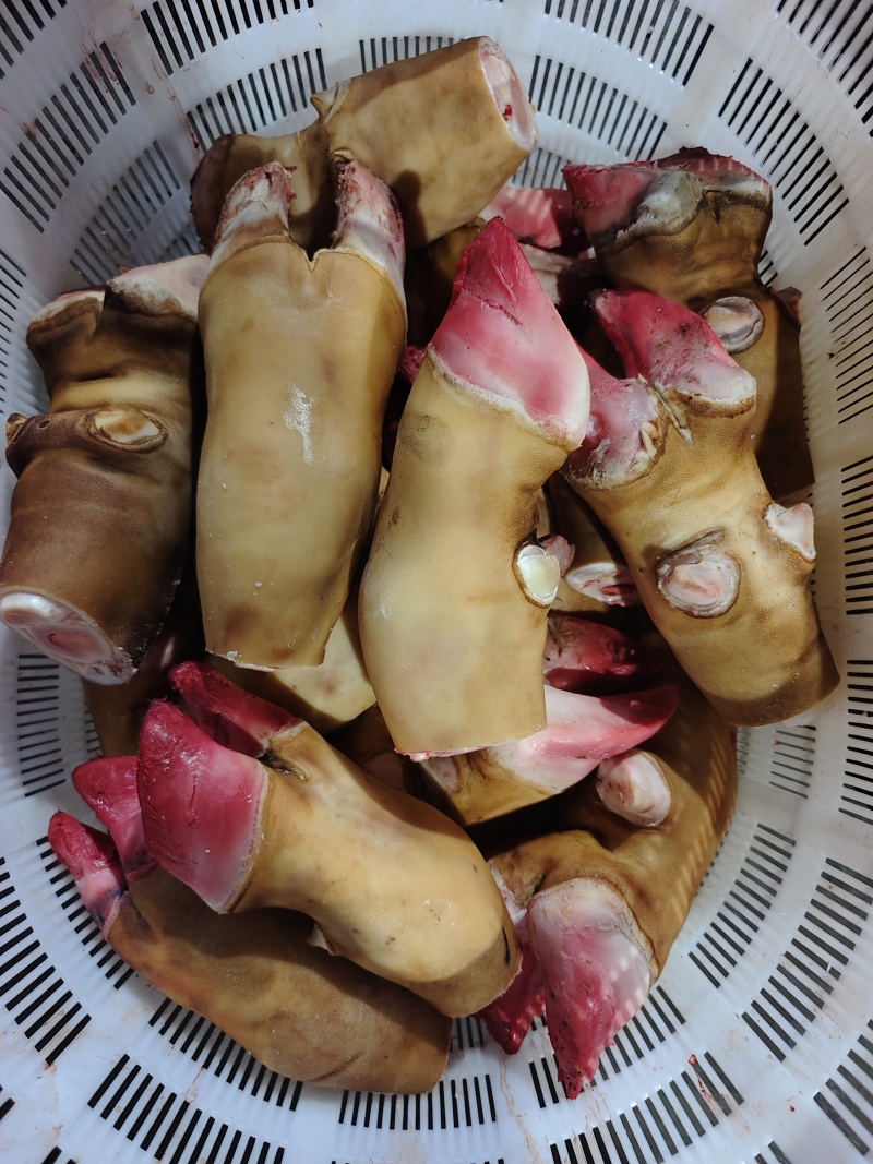 【牛蹄腕腕】当地草原黄牛的蹄加，火燎水褪都有，干净无碱！