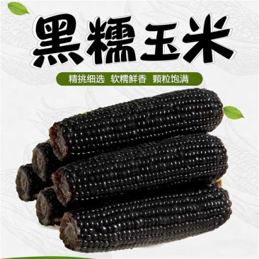 黑糯玉米低脂饱腹代餐880g*4根
