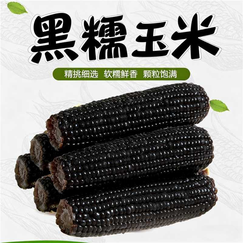 黑糯玉米低脂饱腹代餐880g*4根